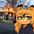 Disaster Mal Meme